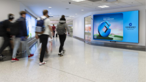 55930d_74333698d5d1418bbf63f7ed76bf91ed~mv2